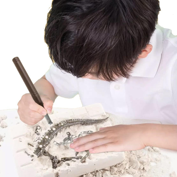 Jurassic Dig Stegosaurus Kit